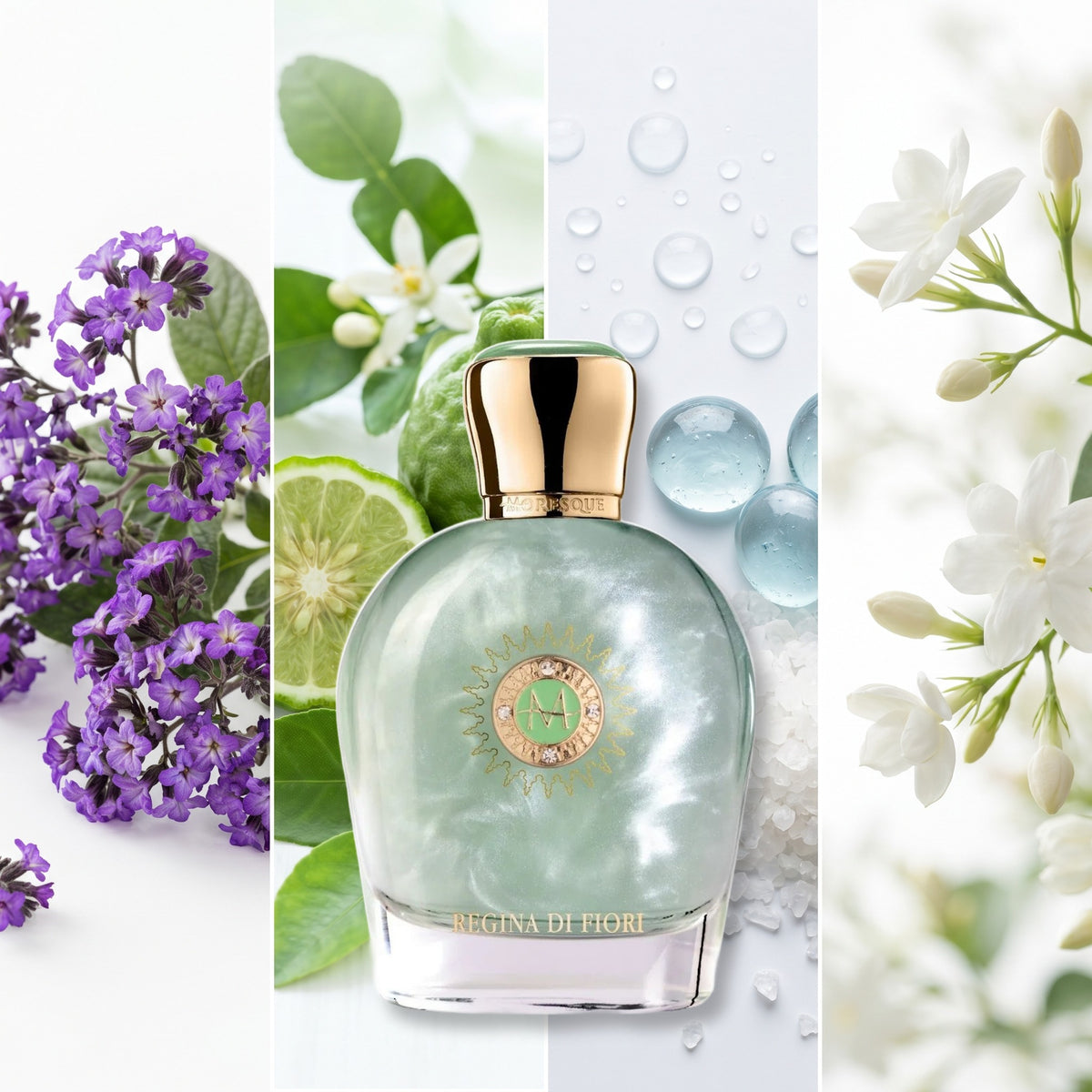 Moresque Parfums Regina Di Fiori fragrance notes: Heliotrope, Bergamot, Aquatic Accents, Jasmine