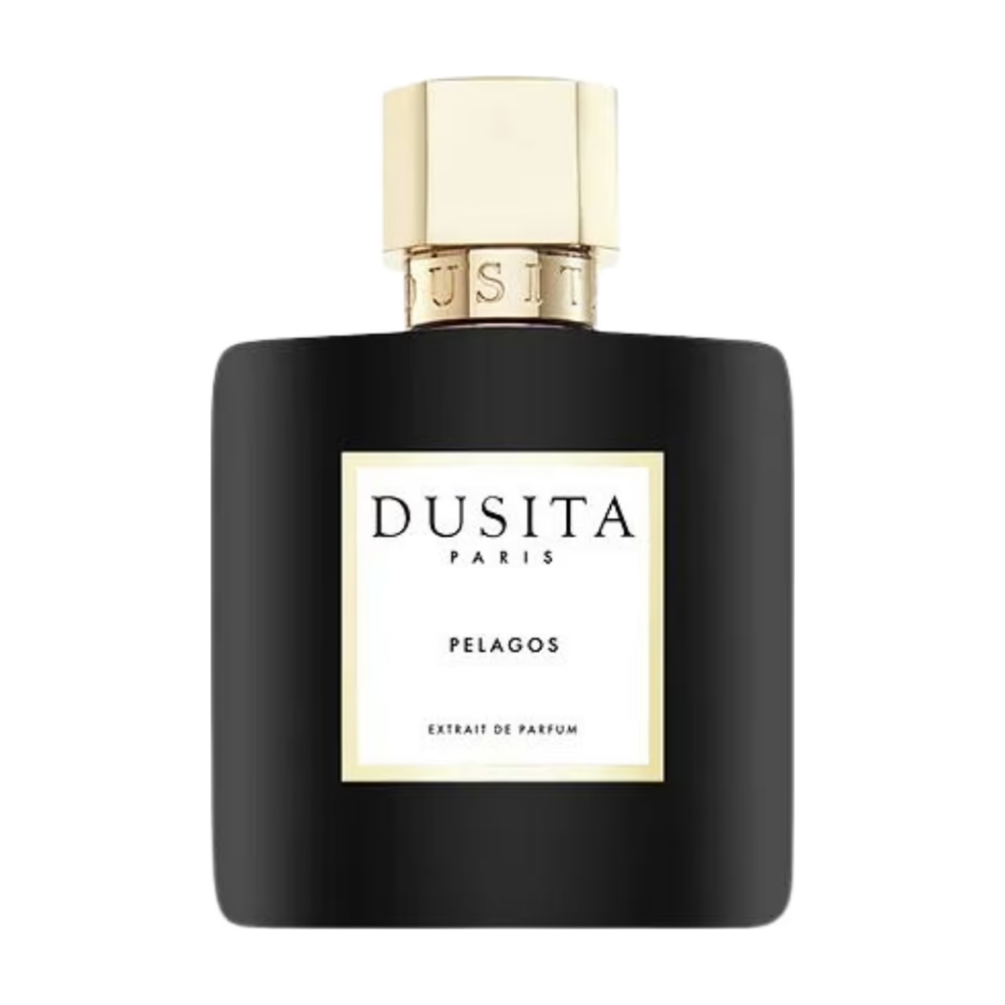 dusita pelagos