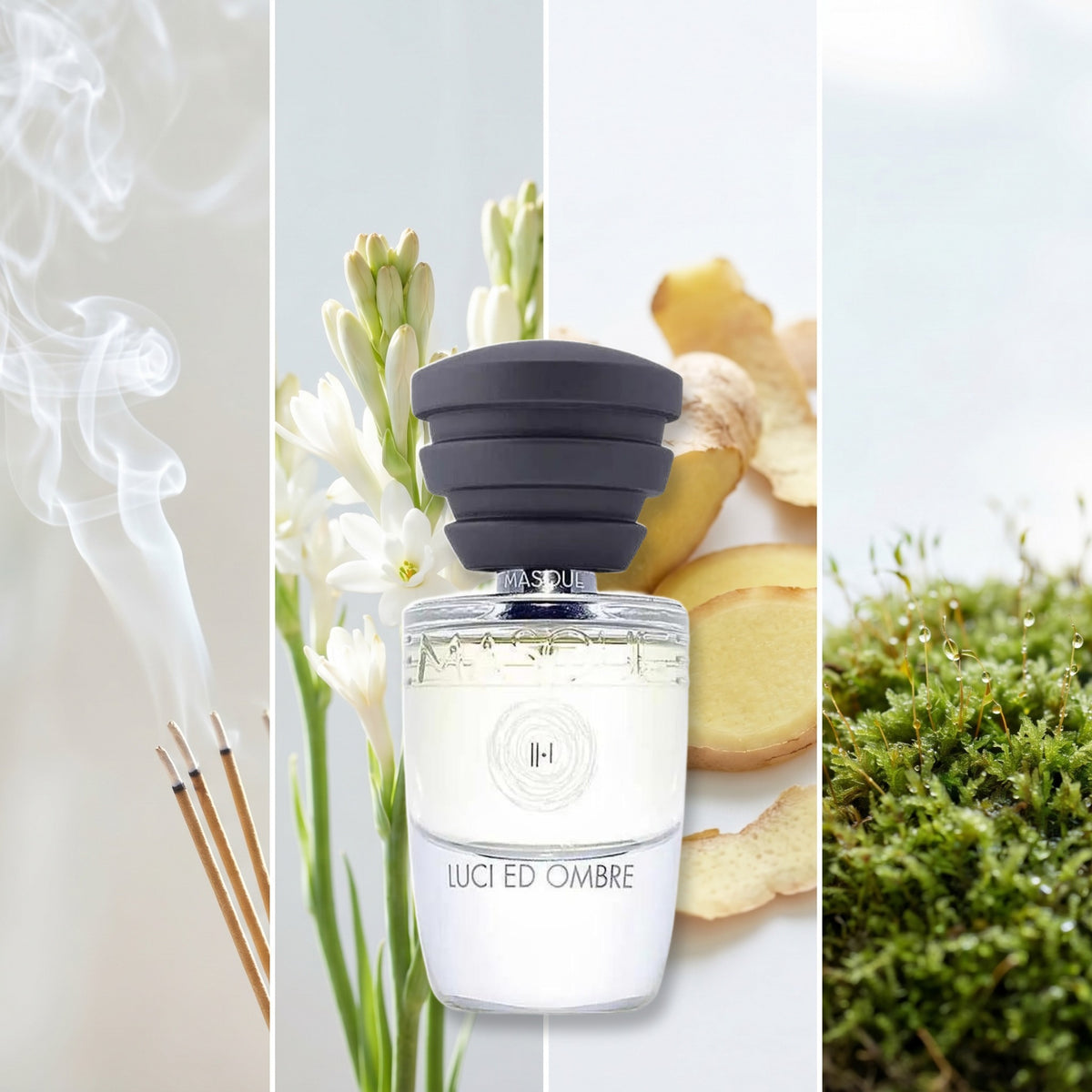 Masque Milano Luci Ed Ombre fragrance notes: Incense., Tuberose, Ginger, Moss