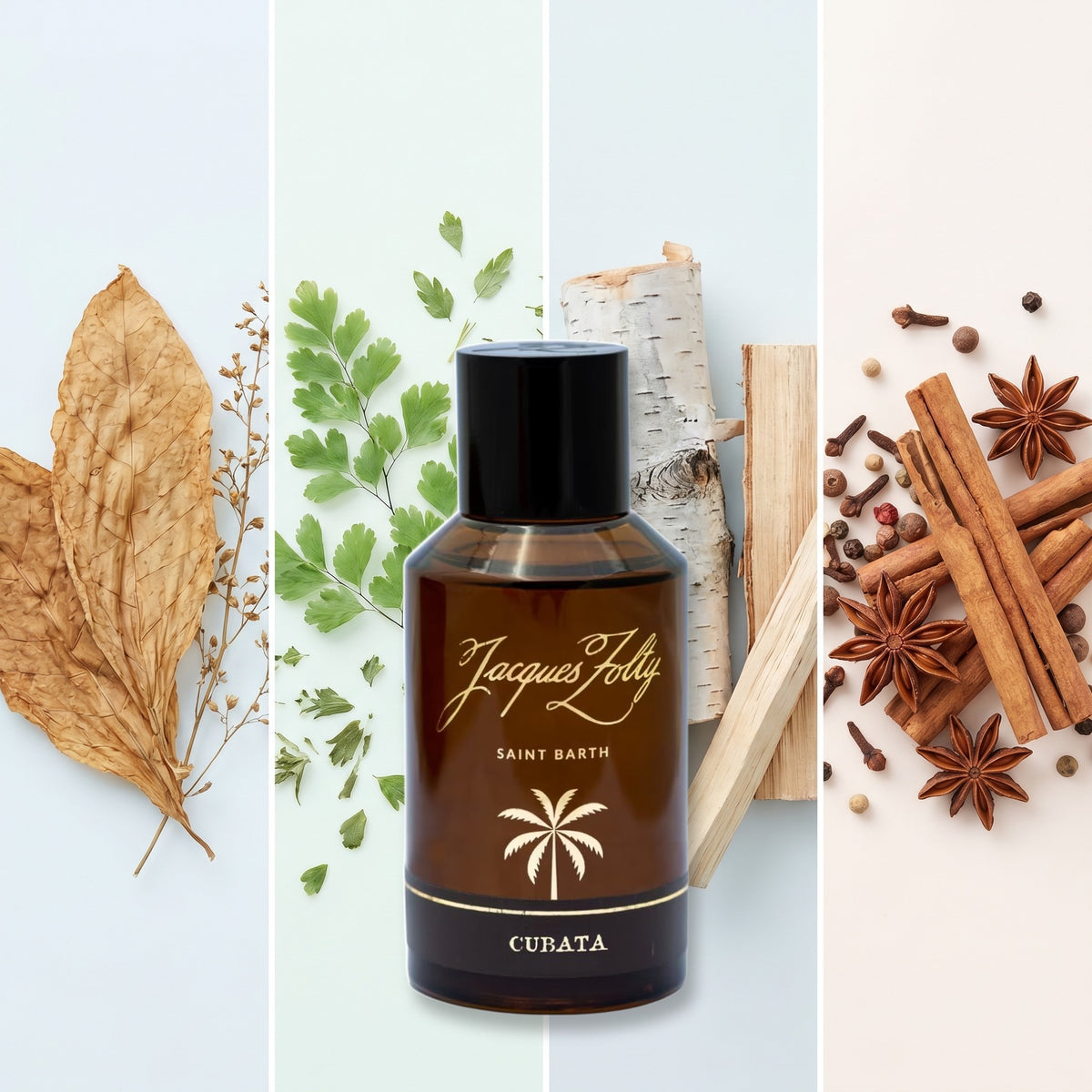 Jacques Zolty Cubata fragrance notes: TOBACCO, LEAVES, BIRCH, SPICY NOTES