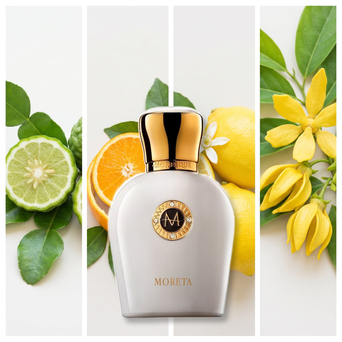 Moresque Parfums Moreta fragrance notes: bergamot, orange, lemon, Caribbean ylang ylang