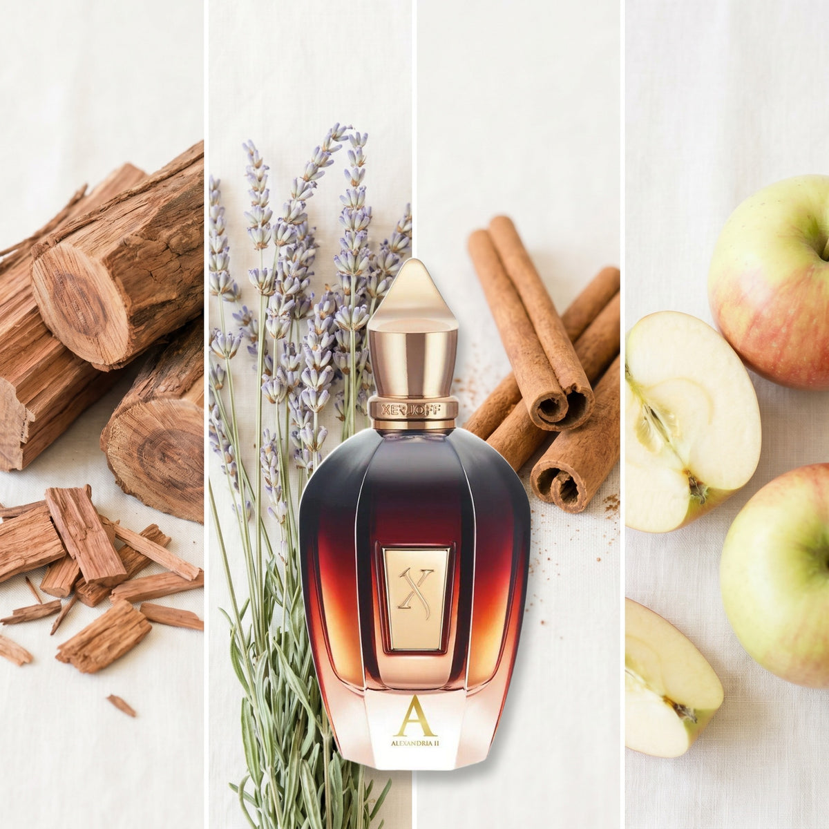 Xerjoff Alexandria II fragrance notes: Palisander Rosewood, Lavender, Cinnamon, Apple.
