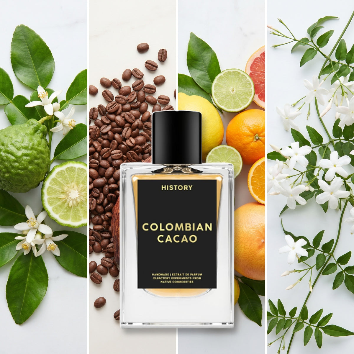 History Colombian Cacao fragrance notes: Bergamot, Colombian Coffee Cacao Pod, Citruses, Jasmine