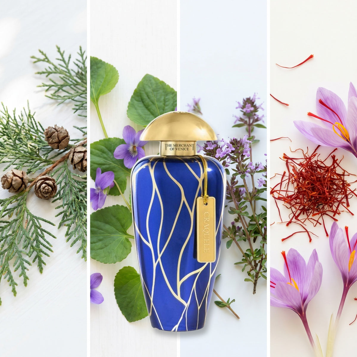 The Merchant of Venice Craquele fragrance notes: Cypress, Violet Leaf, Red Thyme., Saffron