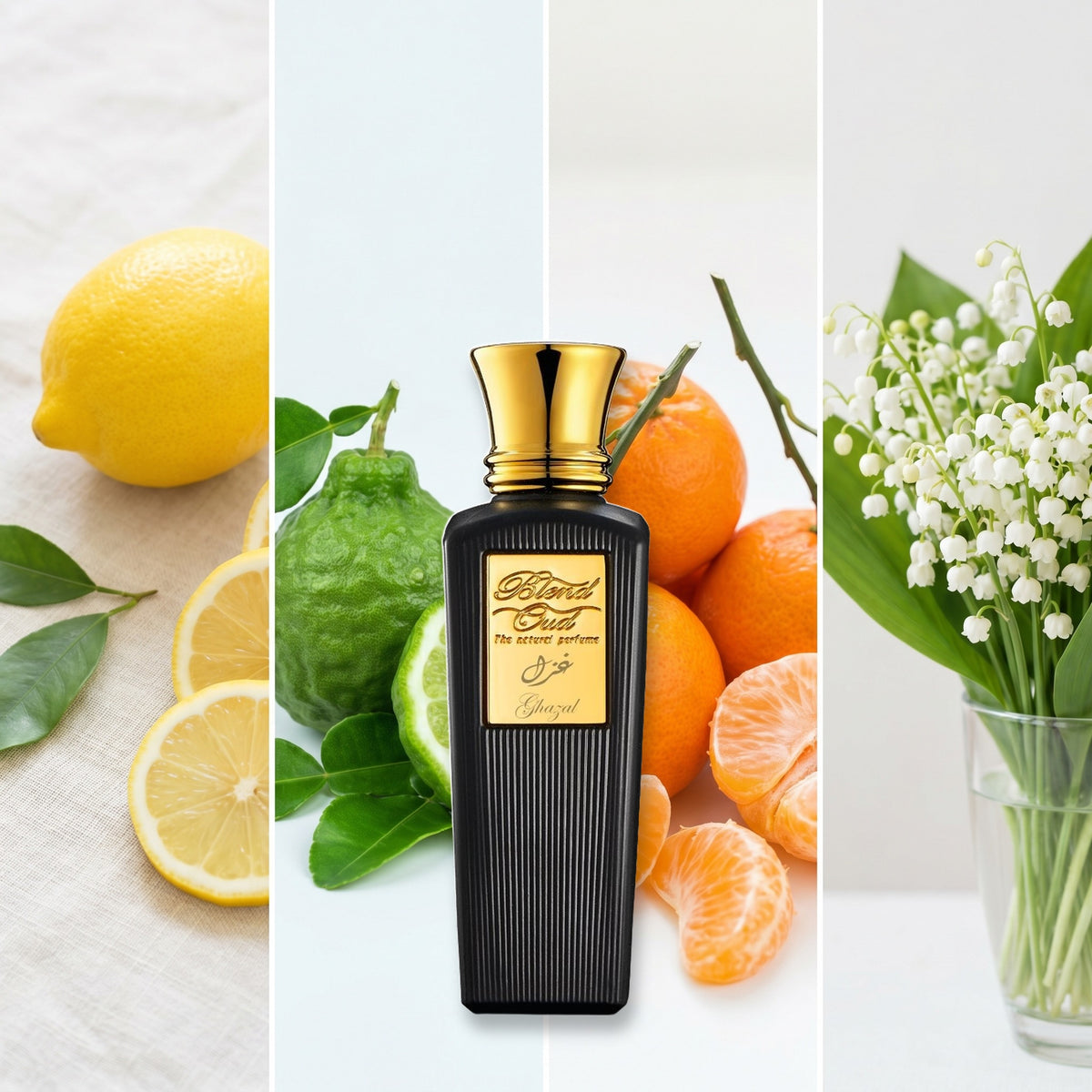 Blend Oud Ghazal fragrance notes: Lemon, Bergamot, Mandarin., Lily of the valley