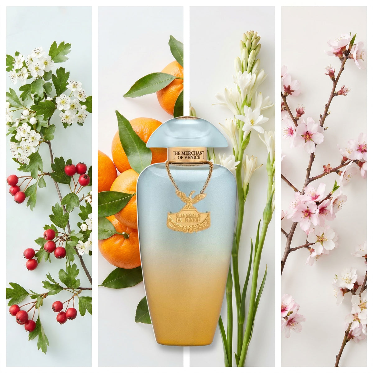 The Merchant of Venice La Fenice Pour Femme fragrance notes: Hawthorn, Mandarin Orange, Tuberose, Almond Blossom
