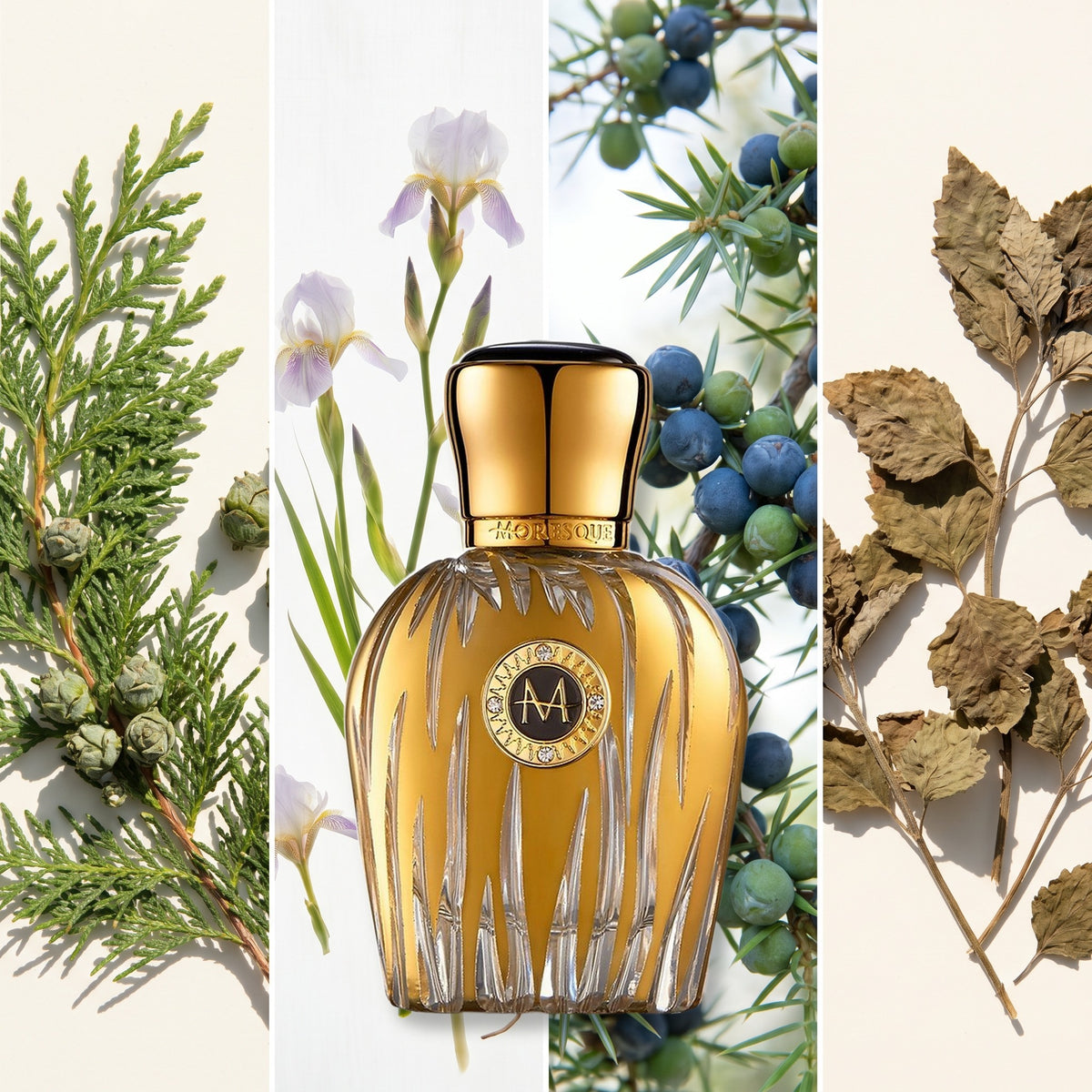 Moresque Parfums Fiamma fragrance notes: Cypress, Iris, Juniper Berries, Patchouli