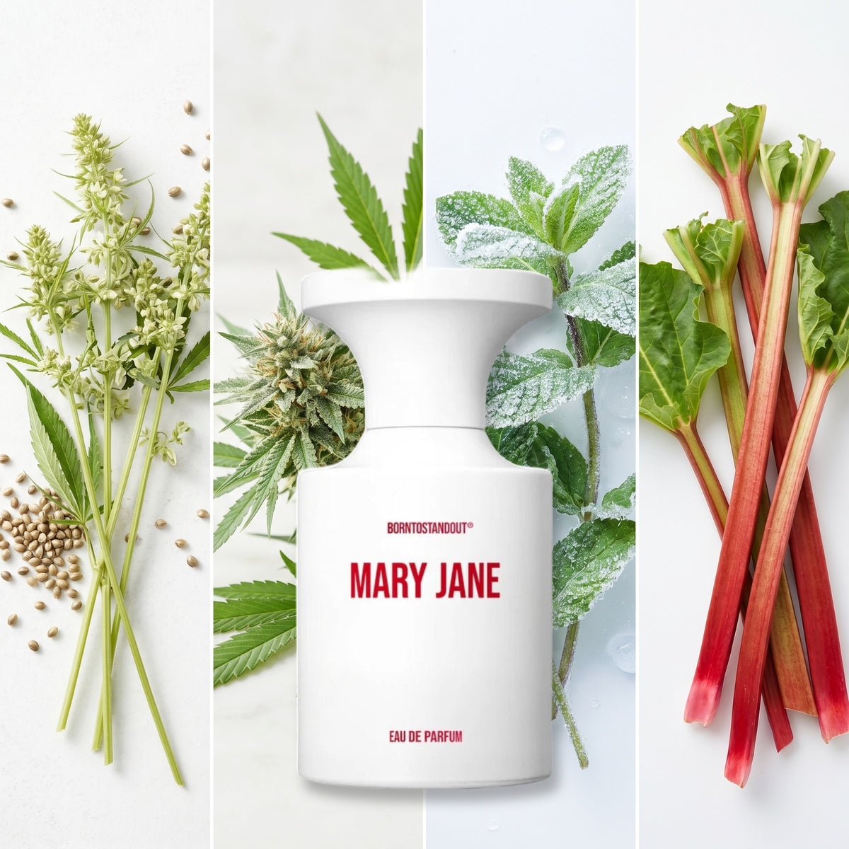 BornToStandOut Mary Jane fragrance notes: Hemp Essence, Cannabis, Frozen Mint, Rhubab