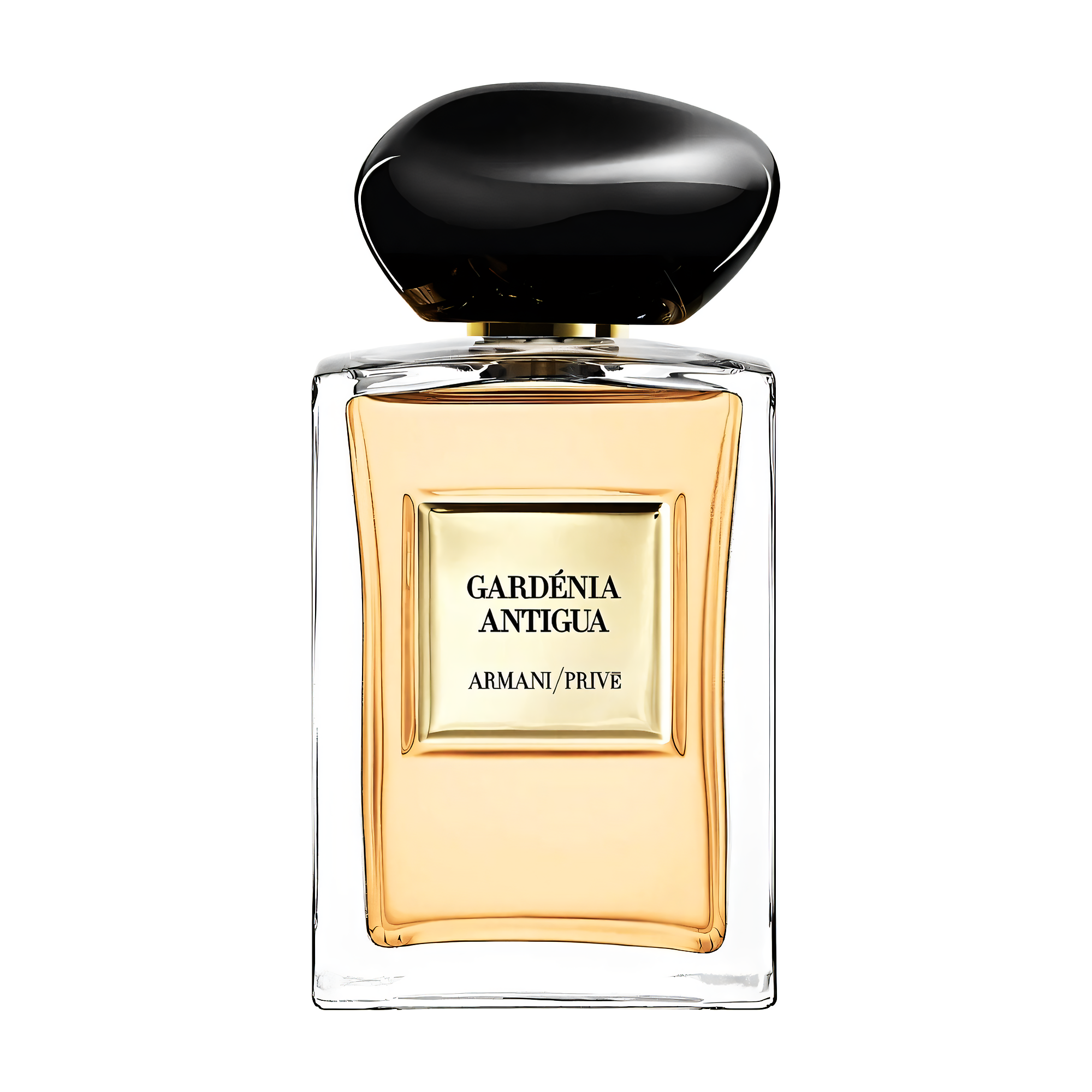 giorgio armani prive gardenia antigua