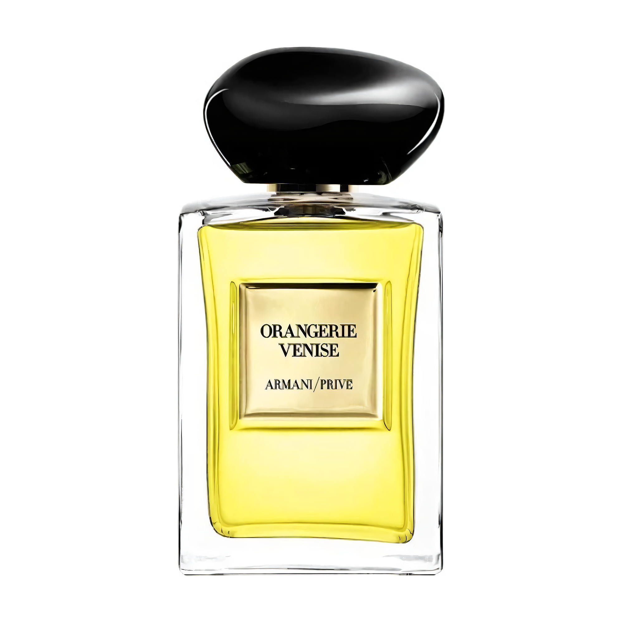 giorgio armani prive orangerie venise