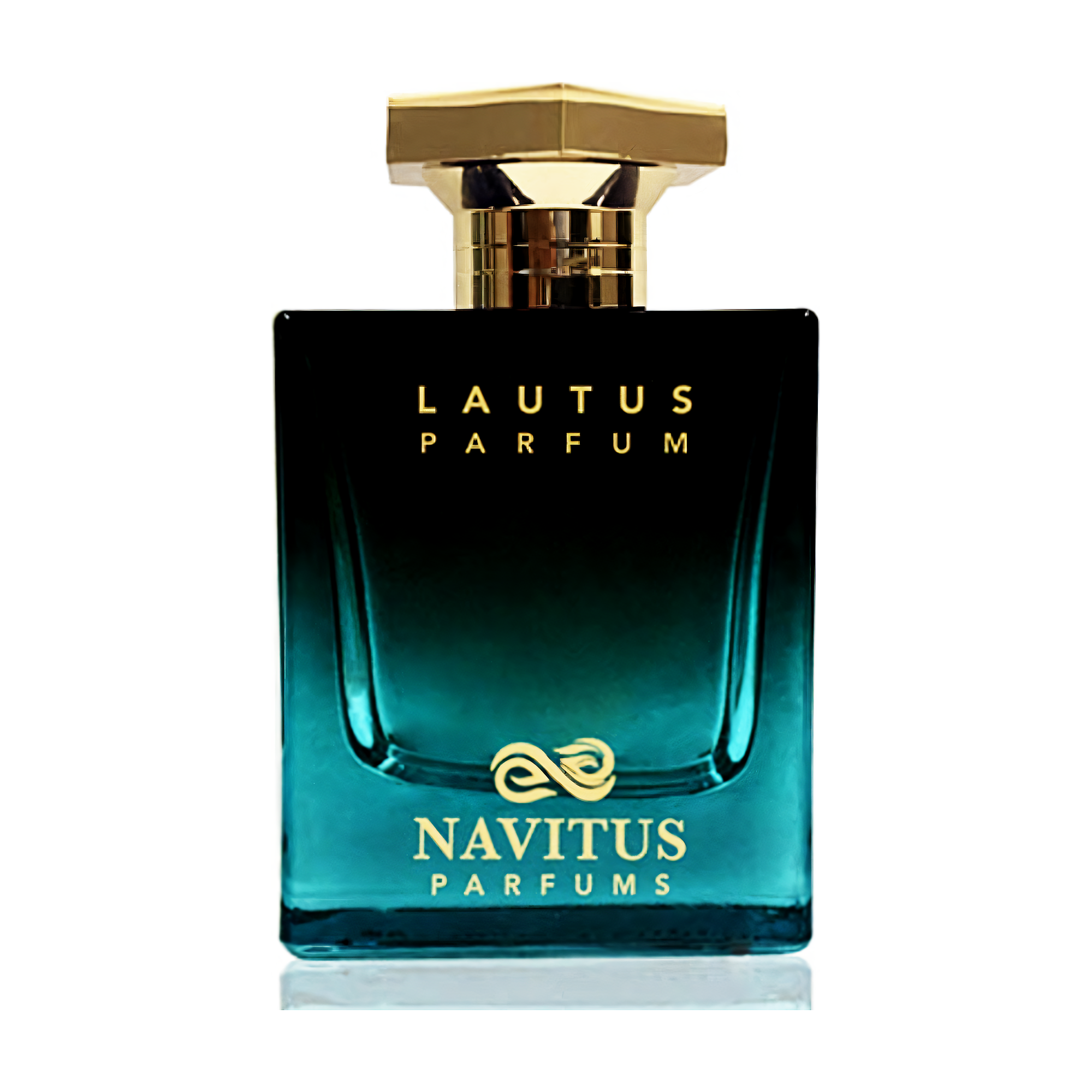lautus