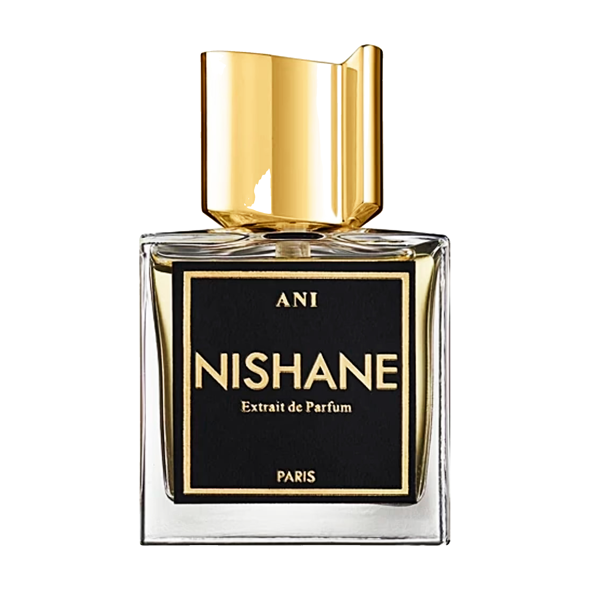 nishane ani