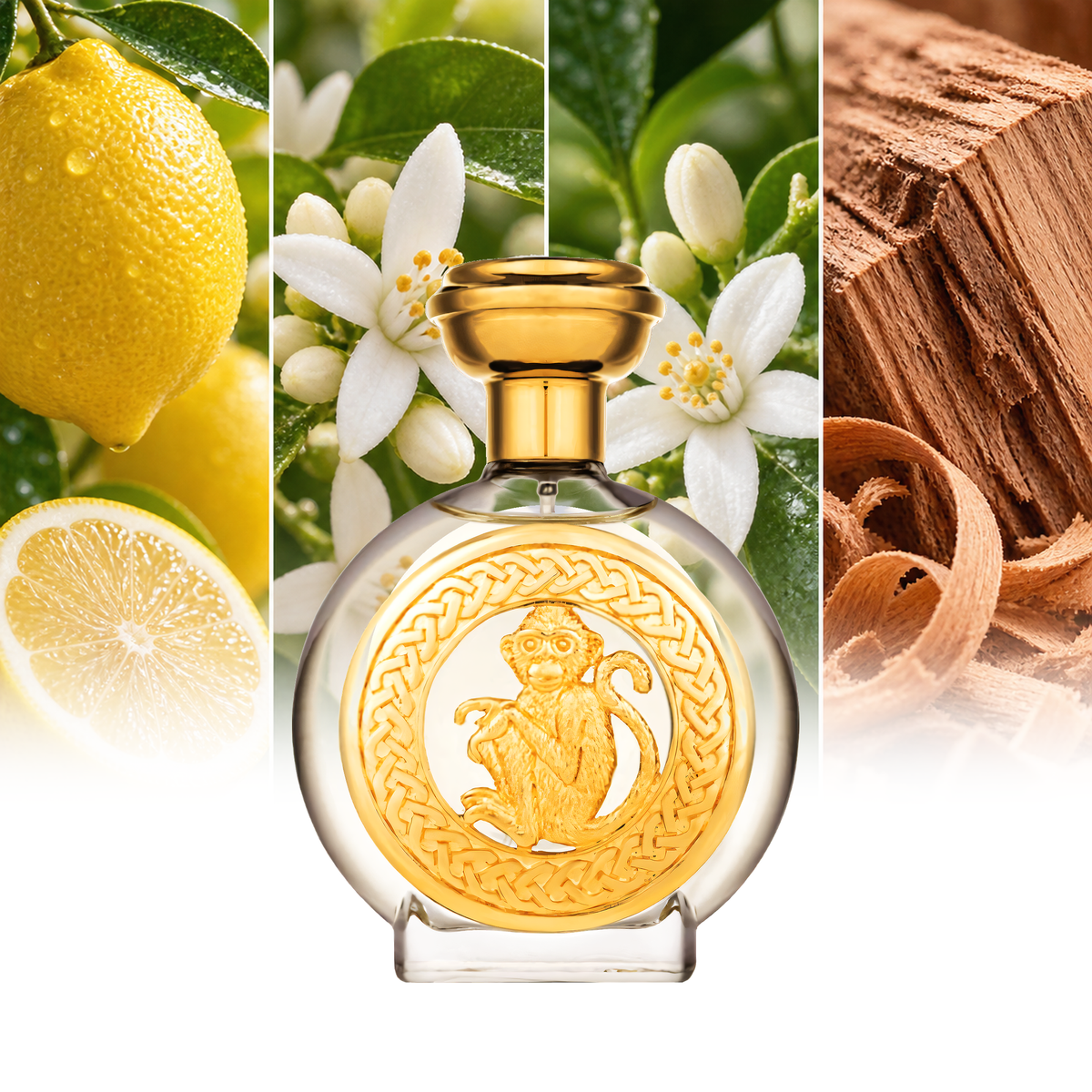 Boadicea The Victorious Hanuman fragrance notes: Lemon, Orange Blossom, Neroli, Cedarwood | ScentRabbit