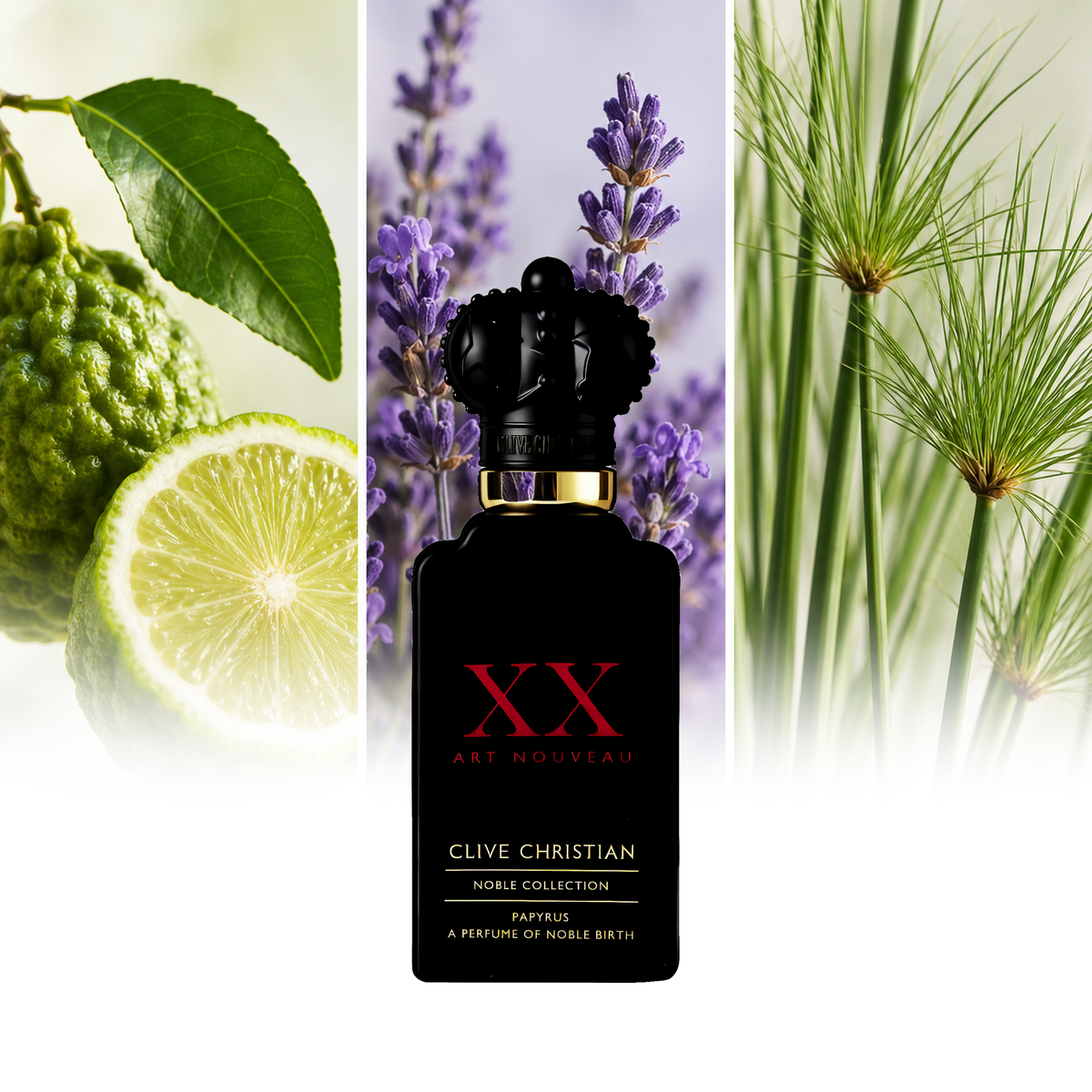 Clive Christian XX Art Nouveau Papyrus fragrance notes: Bergamot, Lavender, Papyrus reeds | ScentRabbit