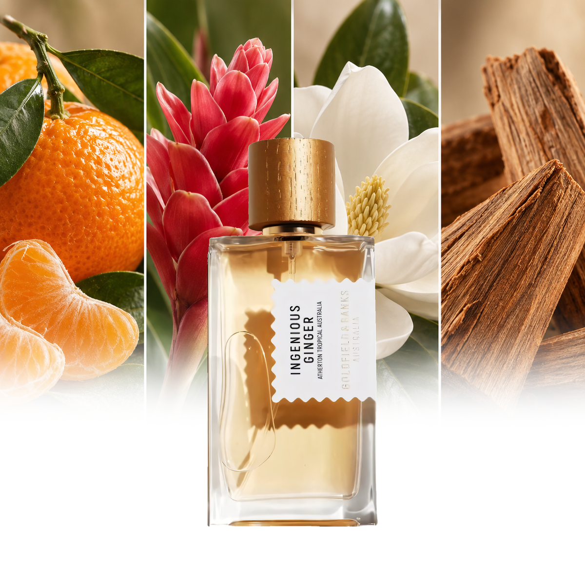 Goldfield & Banks Ingenious Ginger fragrance notes: Mandarin, Australian ginger flower, Magnolia, Australian sandalwood | ScentRabbit