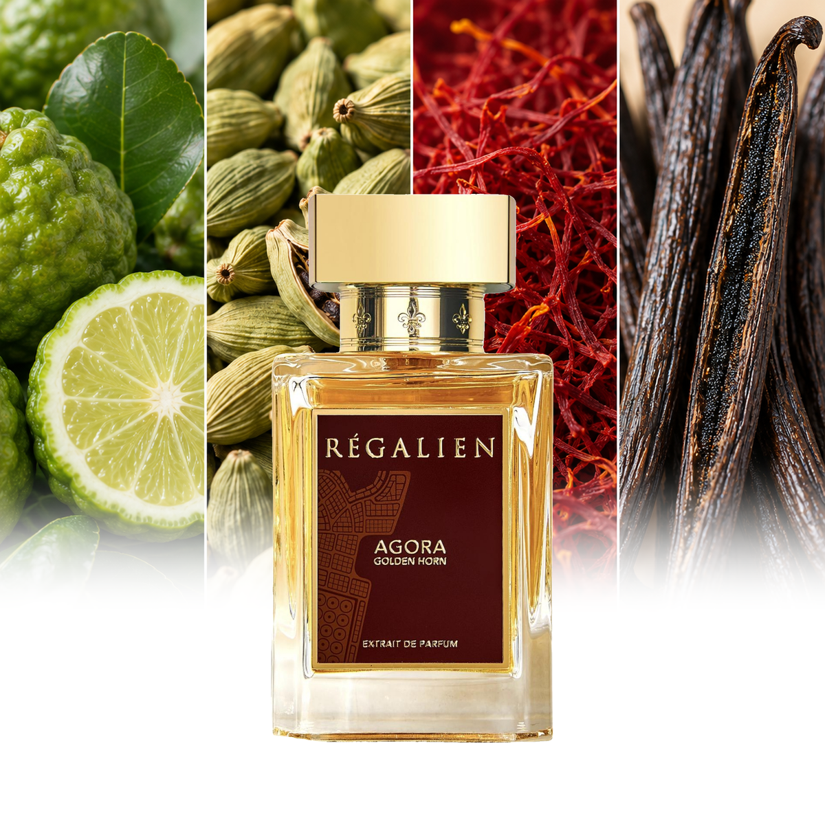 Regalien Agora Golden Horn fragrance notes: Bergamot, Guatemalan cardamom, Saffron, Bourbon vanilla | ScentRabbit