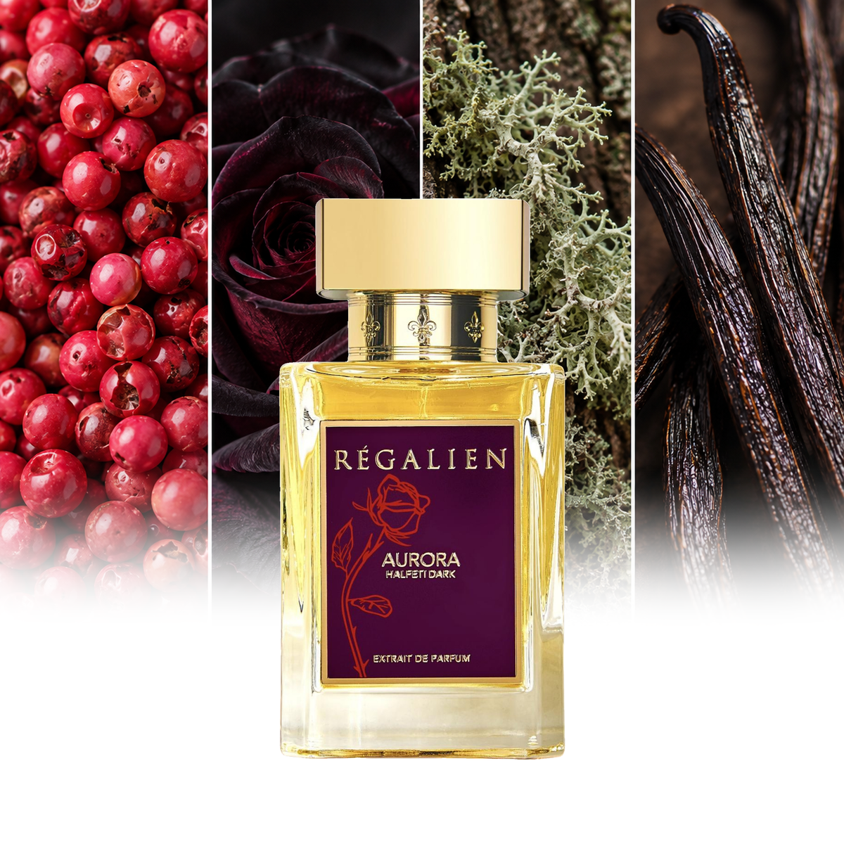 Regalien Aurora Halfeti Dark fragrance notes: Pink pepper, Black rose, Oakmoss, Tahitian vanilla | ScentRabbit