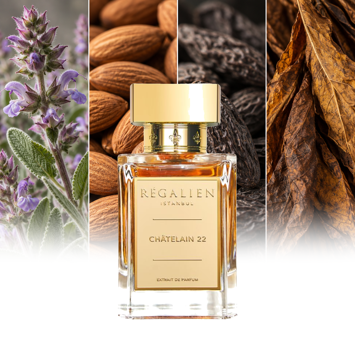 Regalien Châtelain 22 fragrance notes: Clary sage, Almonds, Tonka beans, Tobacco leaves | ScentRabbit