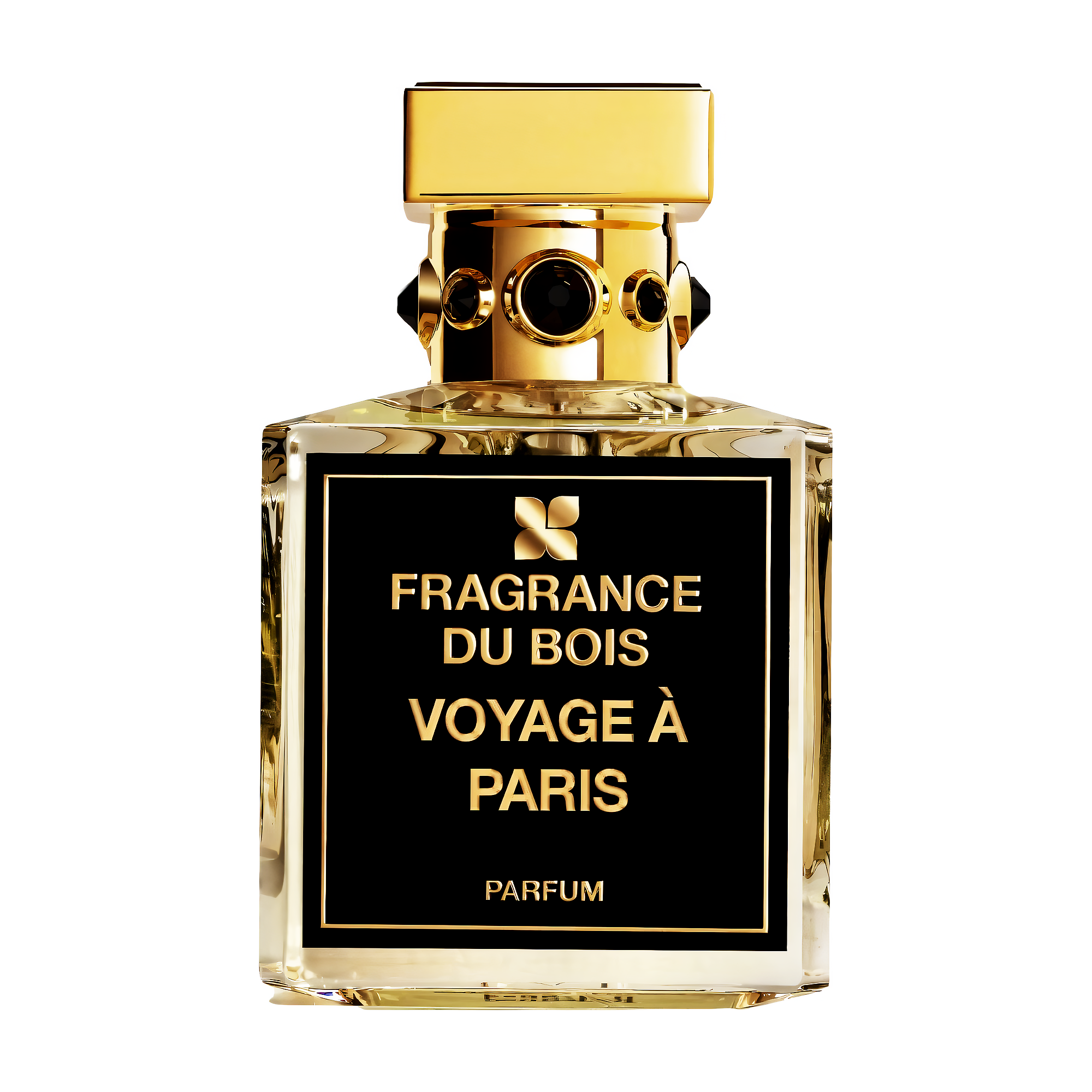 voyage a paris